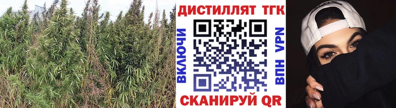 ссылка на мегу ССЫЛКА  Правдинск  ТГК гашишное масло 