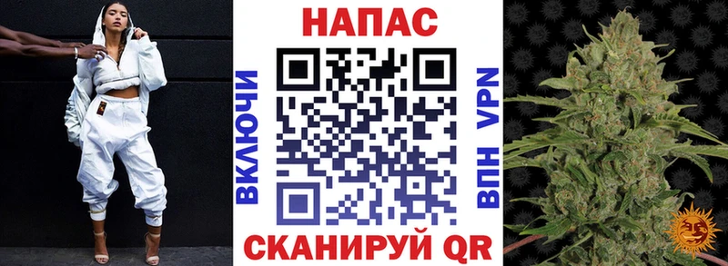 Бошки Шишки VHQ Правдинск
